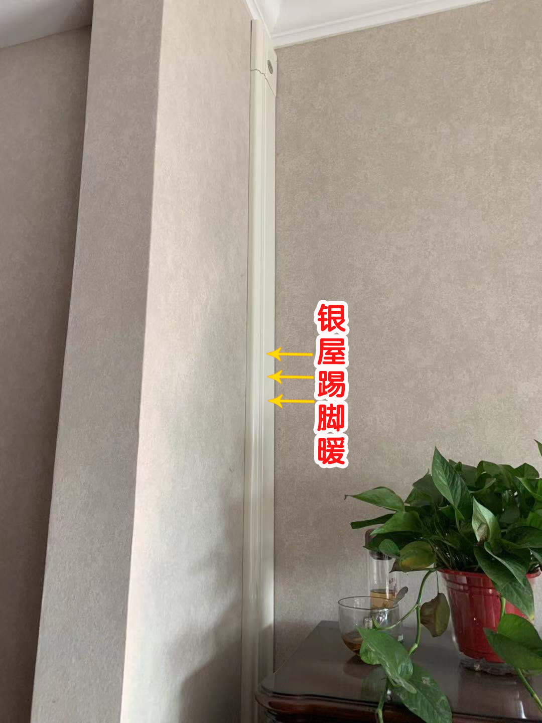 香港公开免费资料大全