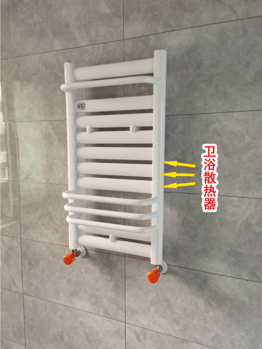 香港公开免费资料大全