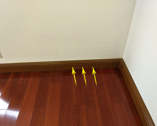 香港公开免费资料大全