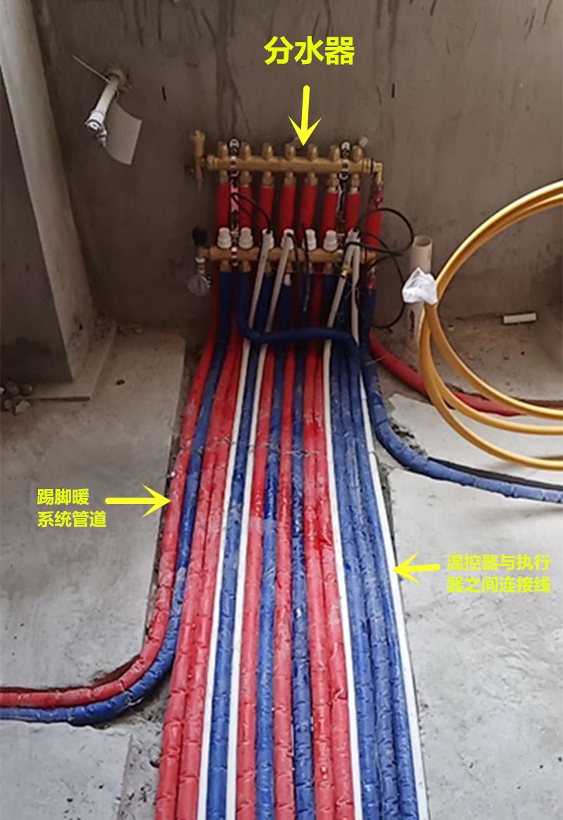 香港公开免费资料大全