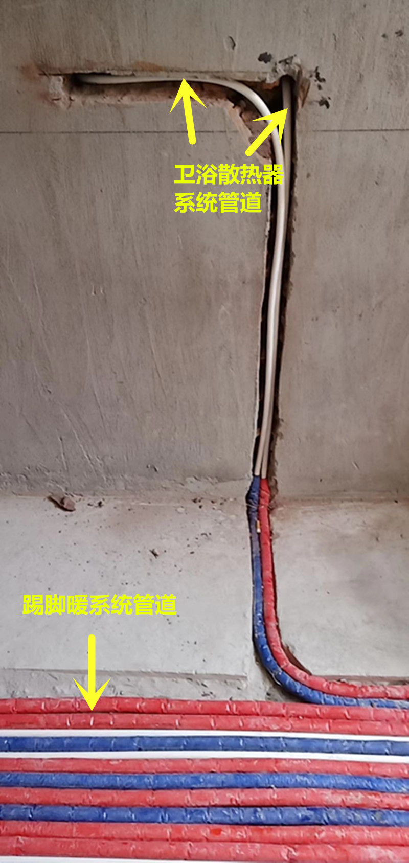 香港公开免费资料大全