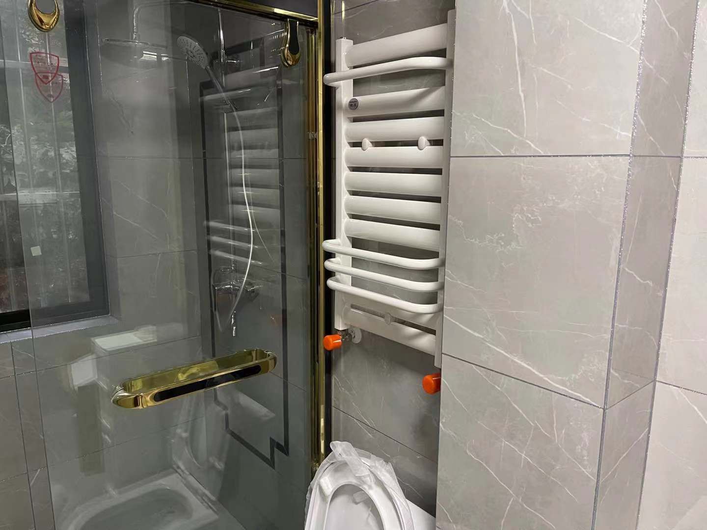 香港公开免费资料大全