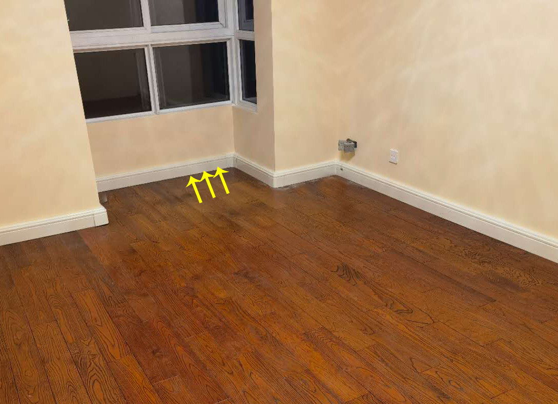 香港公开免费资料大全