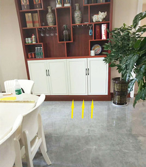 香港公开免费资料大全