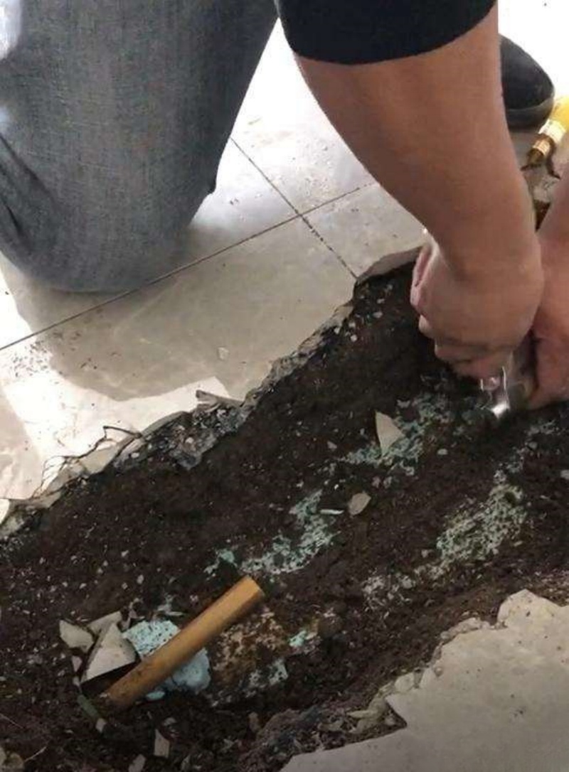 香港公开免费资料大全