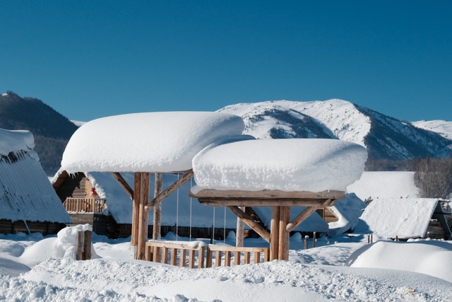 香港公开免费资料大全