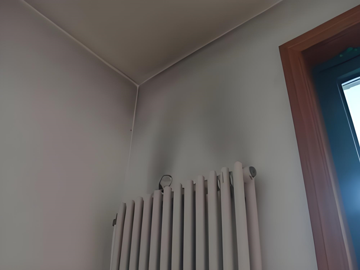 香港公开免费资料大全