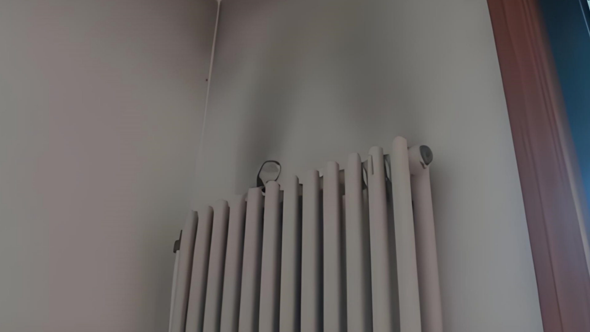 香港公开免费资料大全