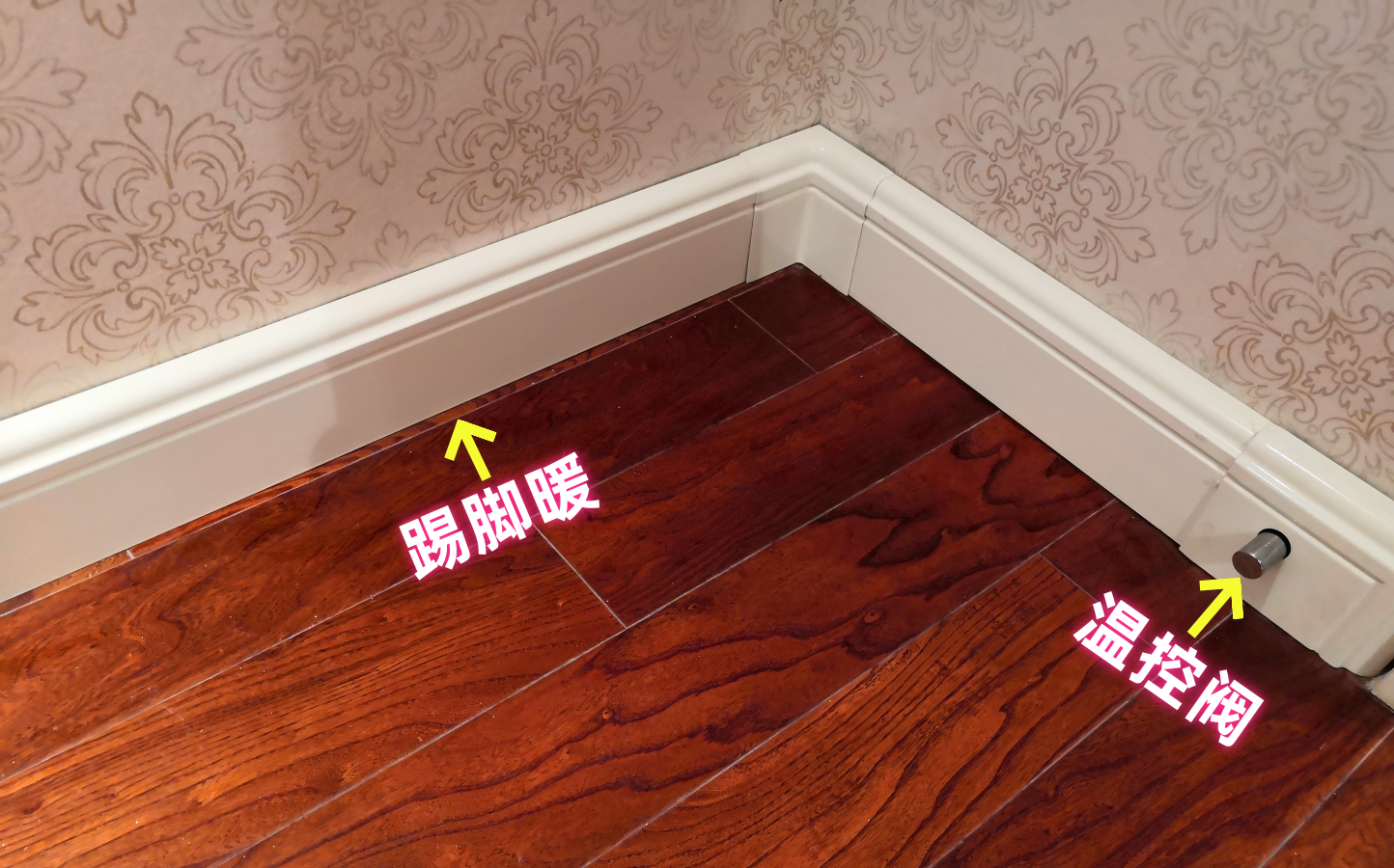 香港公开免费资料大全