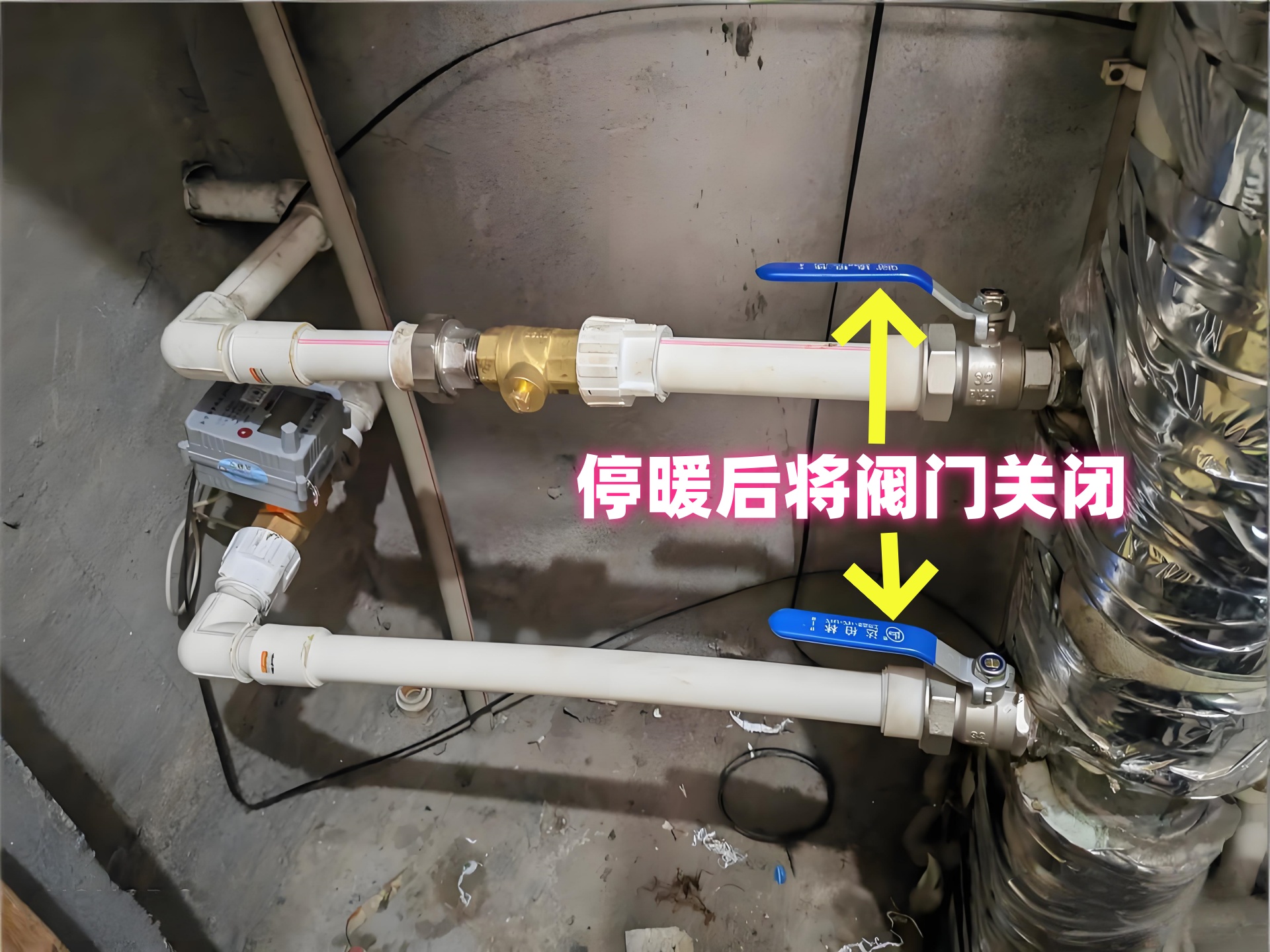 香港公开免费资料大全